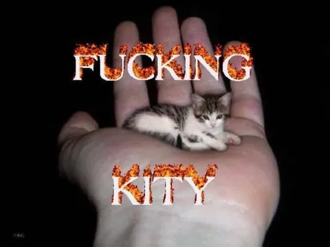 Fucking Kitty in a Hand