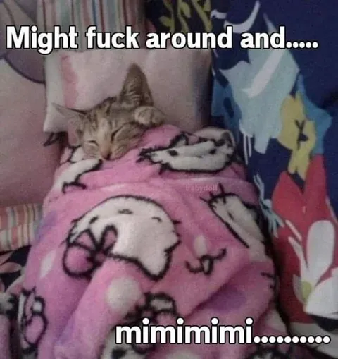 Might Fuck Around and Mimimimi
