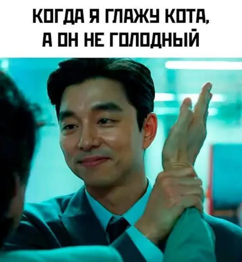 Глажу сытого кота