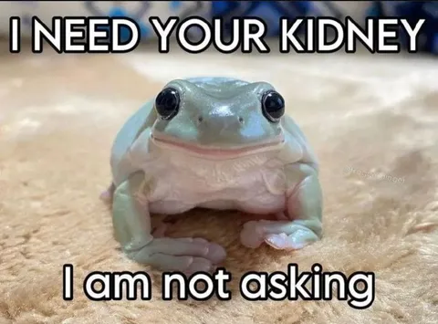 I Need Your Kidney Frog