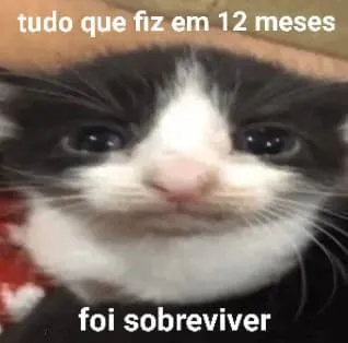 Tudo que fiz em 12 meses