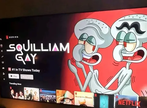 Squilliam Gay on Netflix