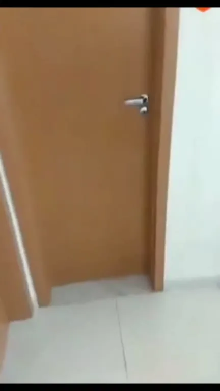 Попугай на унитазе