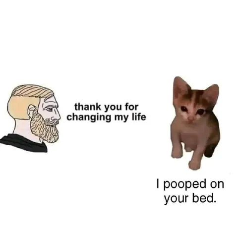 Thank You for Changing My Life