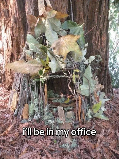 I’ll Be in My Office