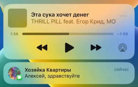 Хозяйка квартиры пишет во время песни