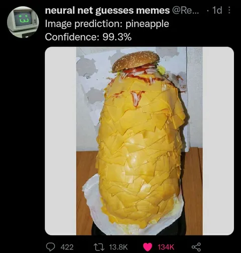 Neural Net Thinks Burger Is Pineapple