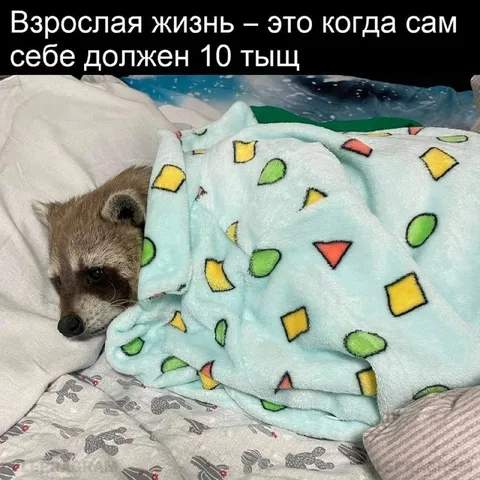Взрослая жизнь и долг 10 тысяч