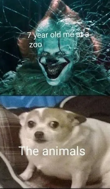 Seven-Year-Old Me at the Zoo