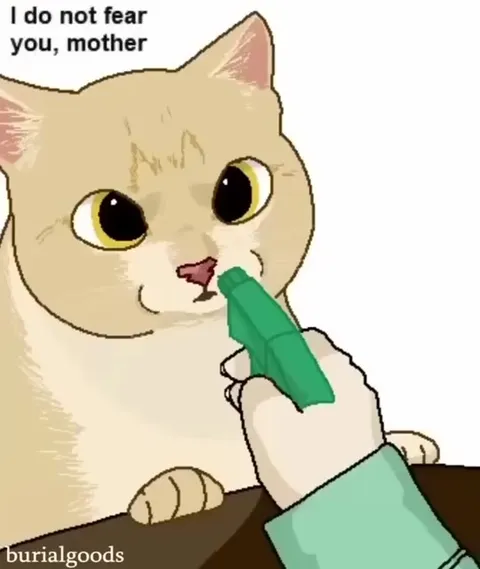 The Empty Threat Cat