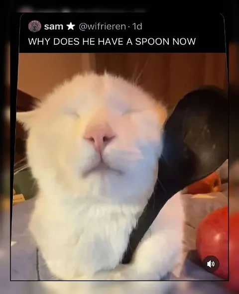 Why Does He Have a Spoon