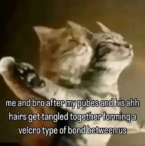 Cat Hair Velcro Bond