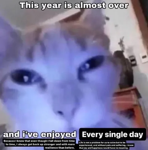 Enjoyed Every Single Day