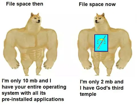 Muscular Doge File Space Comparison