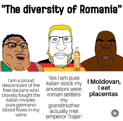 The Diversity of Rotmania