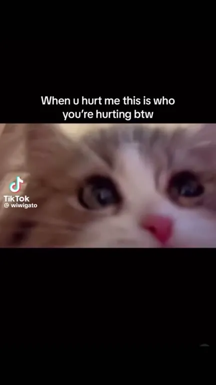 When You Hurt Me, You Hurt My Cat