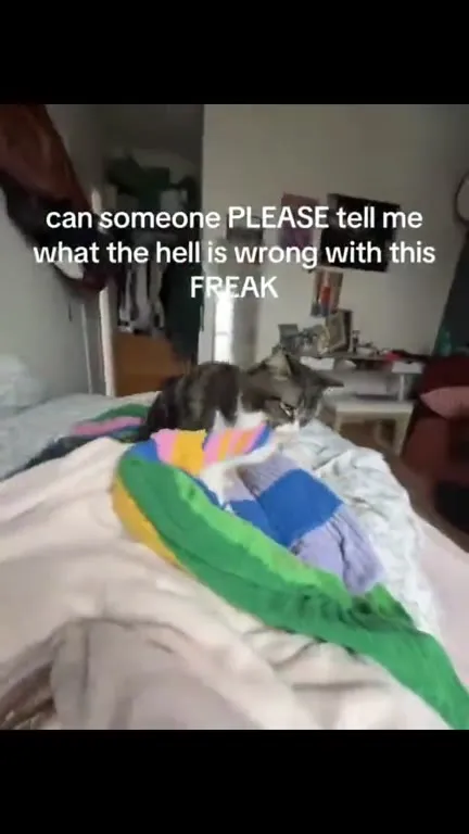 Cat Goes Full Death Metal