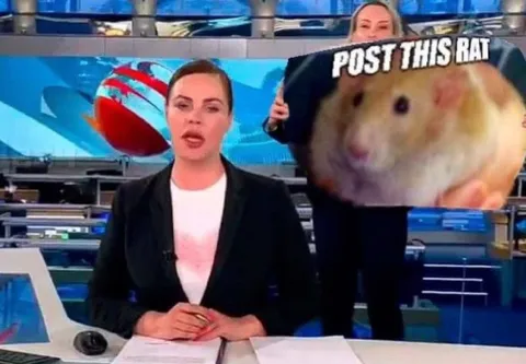 Post This Rat News Broadcast
