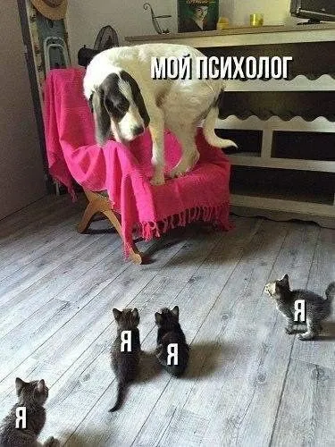 Мой психолог и я