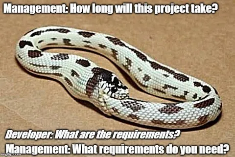 Management Keeps Changing Requirements