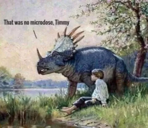 That Was No Microdose Timmy