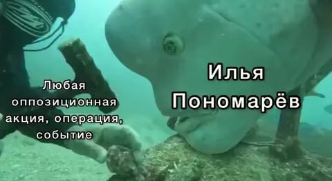 Любая оппозиционная акция — Илья Пономарёв