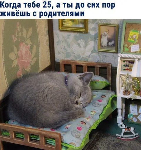 Живёшь с родителями в 25