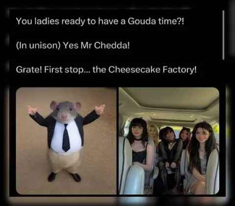 Mr Chedda Takes the Girls Out