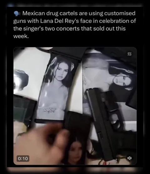 Lana Del Rey cartel guns