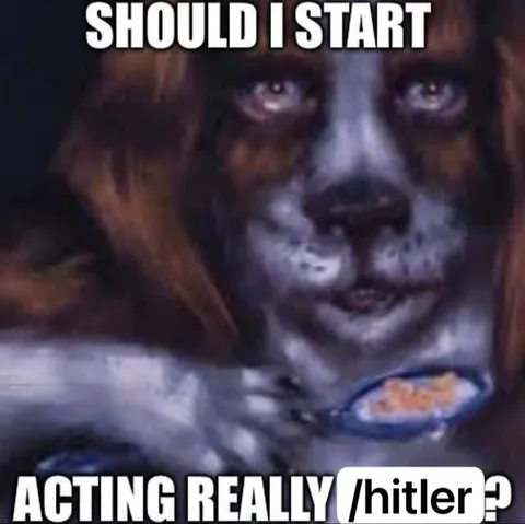 Should I Start Acting Really Hitler