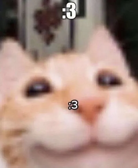 Милый котик :3