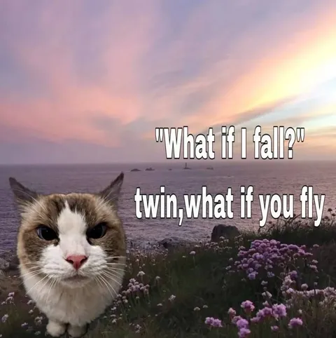 What If I Fall Twin