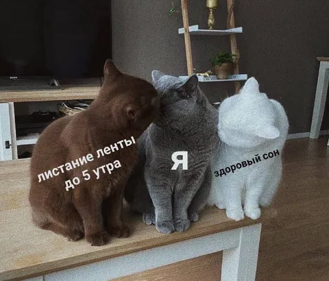 Листание ленты до пяти утра