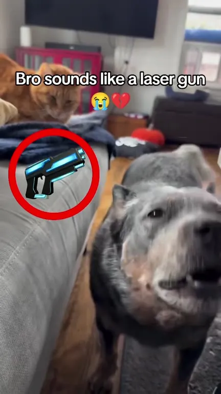 Dog Sounds Like a Laser Gun