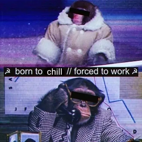 Born to Chill Forced to Work