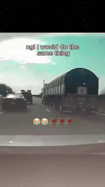 Truck Suddenly Leaves the Highway