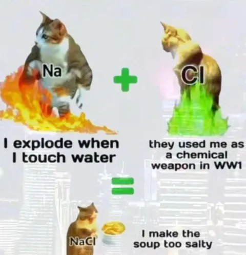Chemistry Cats Make Salty Soup