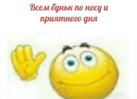 Буньк по носу