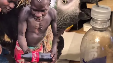 How to Open a Bottle