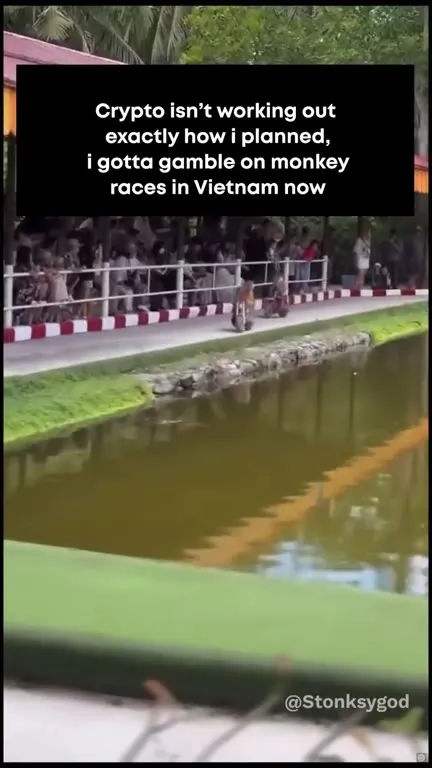 Crypto Monkey Racing in Vietnam