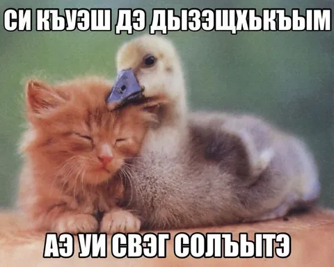 Си къуэсш дз дызæшхъъым