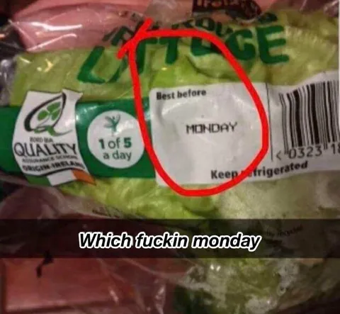 Which Fuckin Monday