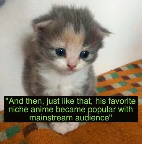 Favorite Niche Anime Goes Mainstream