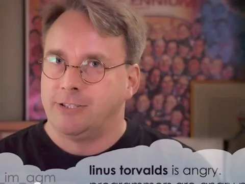 Linus Torvalds Is Angry