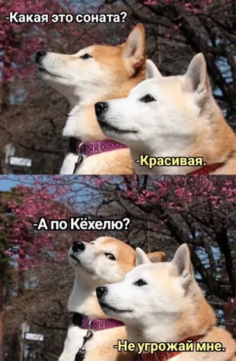 Не угрожай мне Кёхелло