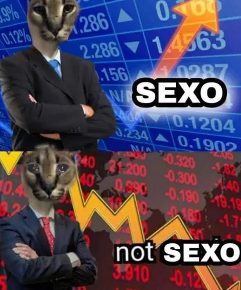 Sexo contra no sexo