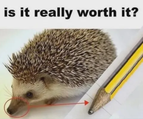 Is It Really Worth It? Hedgehog