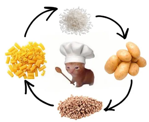 Кот превращает продукты в кашу