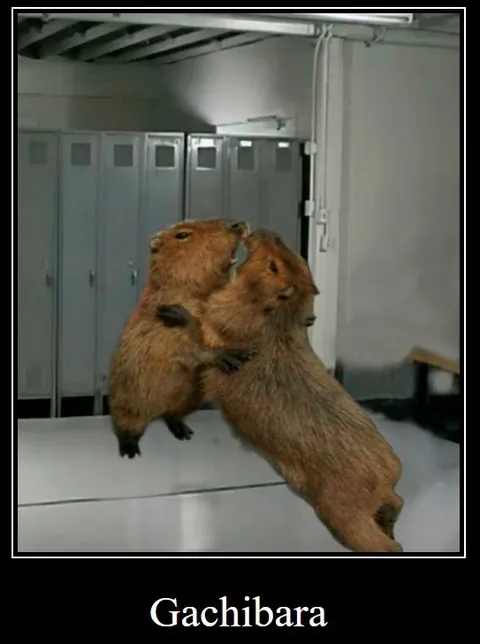 Gachibara Capybara Embrace