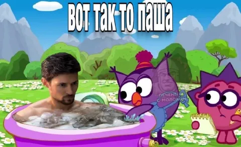 Вот так-то, Паша